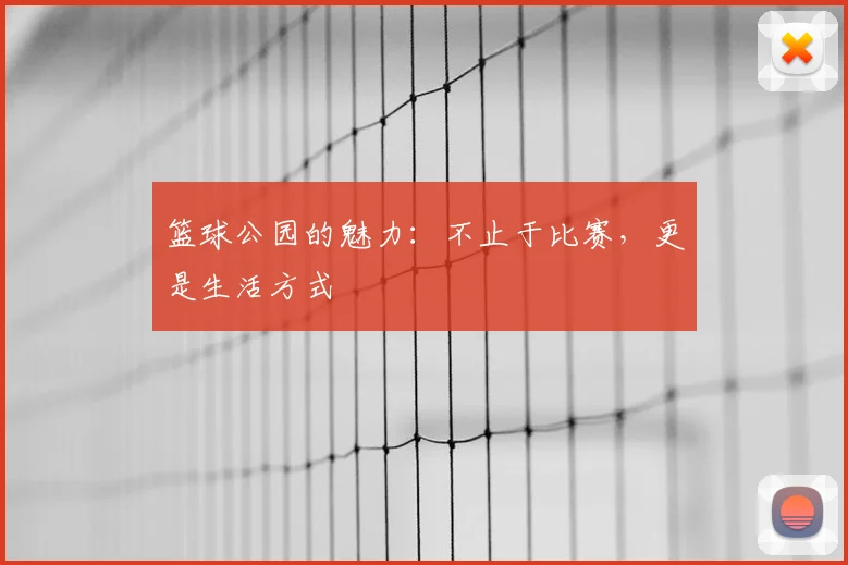 篮球公园的魅力:不止于比赛,更是生活方式
