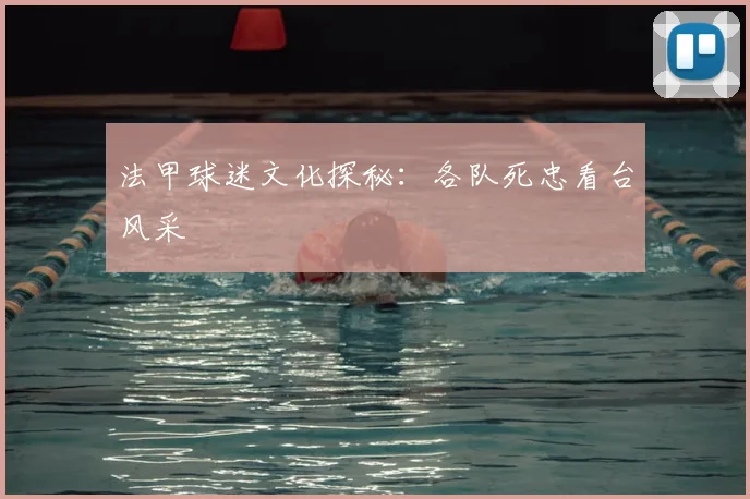 法甲球迷文化探秘：各队死忠看台风采